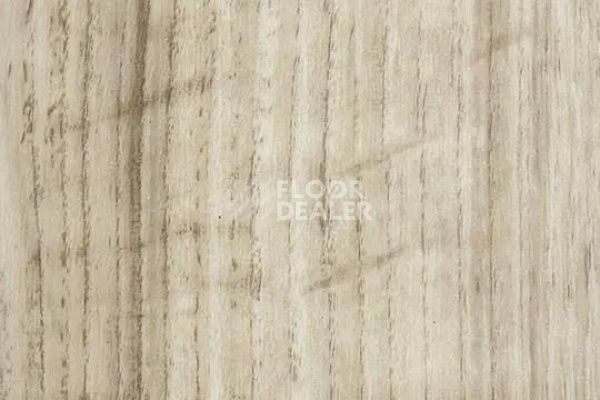 Виниловая плитка ПВХ FORBO Effekta Intense 41115 P Pale Authentic Oak INT фото 1 | FLOORDEALER